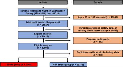 Association between dietary intake of niacin and stroke in the US residents: evidence from national health and nutrition examination survey (NHANES) 1999–2018